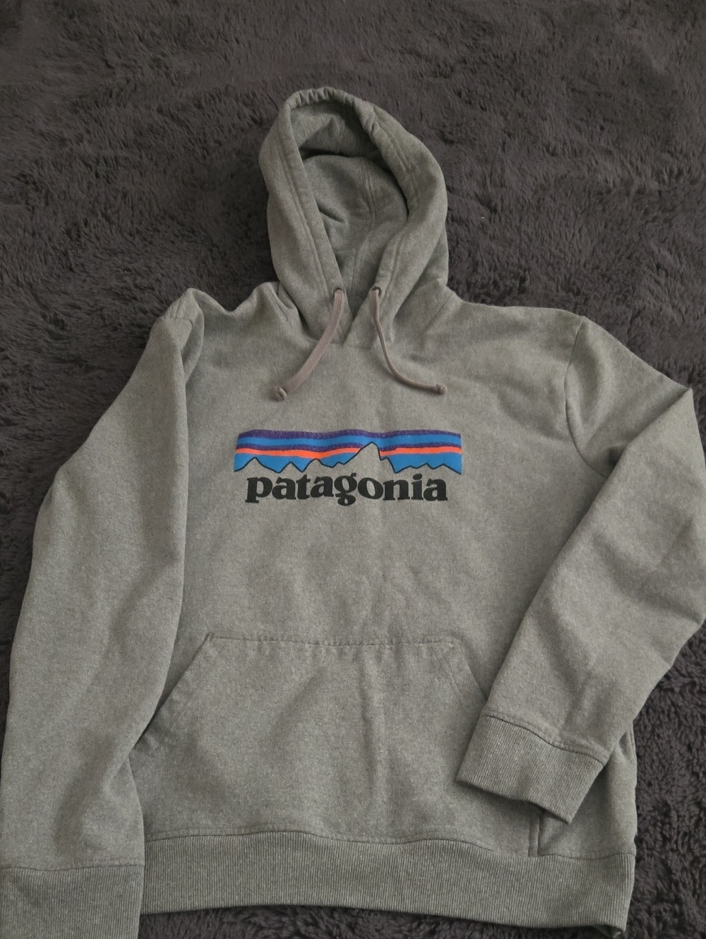 Patagonia Gray Hoodie with Multicolor Mountain Logo